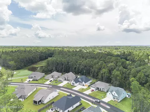View/Area - 85010 Diamondhead Lakes Blvd, Diamondhead, MS 39525 photo 4 of 6