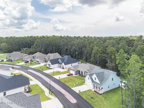 View/Area - 85010 Diamondhead Lakes Blvd, Diamondhead, MS 39525 photo 6 of 6
