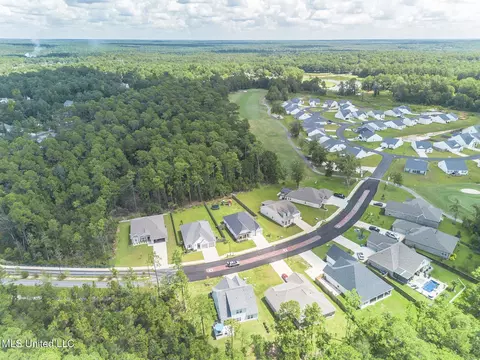 View/Area - 85010 Diamondhead Lakes Blvd, Diamondhead, MS 39525 photo 3 of 6