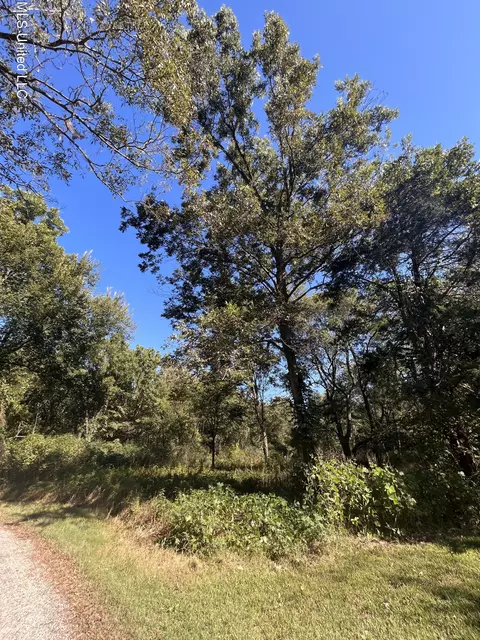 Betty Walton Road, Como, MS 38619