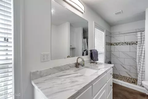Bath - 418 Barksdale Rd, Brandon, MS 39047 photo 4 of 7