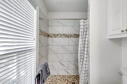 Bath - 418 Barksdale Rd, Brandon, MS 39047 photo 5 of 7