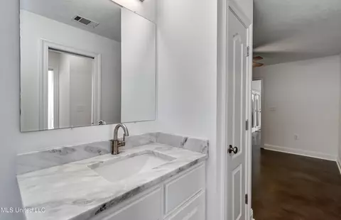 Bath - 418 Barksdale Rd, Brandon, MS 39047 photo 3 of 7