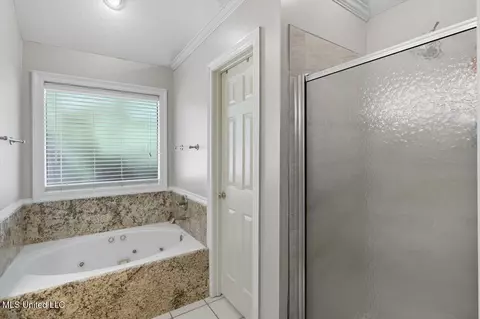 Bath - 345 Avalon Way, Brandon, MS 39047 photo 2 of 3