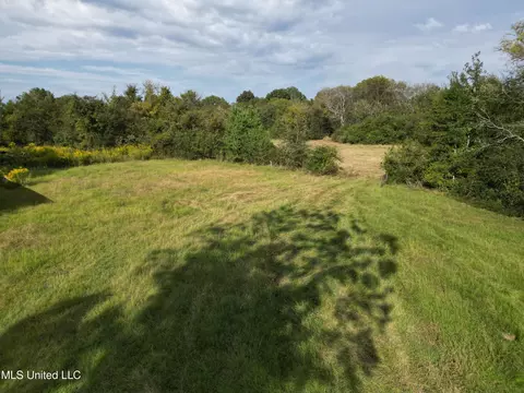 254 Renfroe Rd, Canton, MS 39046 photo 13