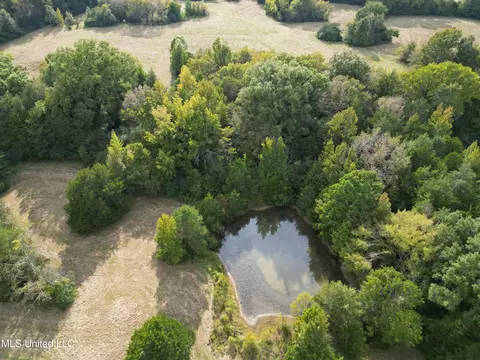 254 Renfroe Rd, Canton, MS 39046 photo 3