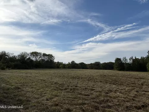 254 Renfroe Rd, Canton, MS 39046 photo 10