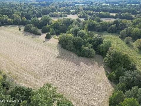 254 Renfroe Rd, Canton, MS 39046 photo 8
