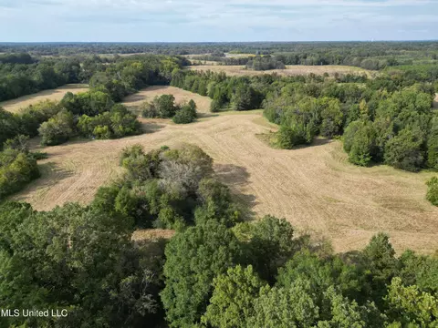 254 Renfroe Rd, Canton, MS 39046 photo 4