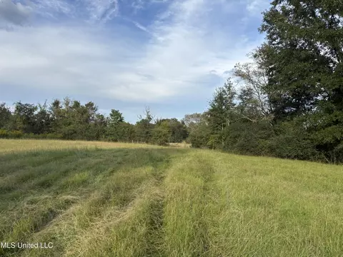 254 Renfroe Rd, Canton, MS 39046 photo 21