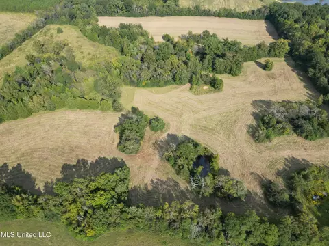 254 Renfroe Rd, Canton, MS 39046 photo 12