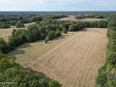 254 Renfroe Rd, Canton, MS 39046