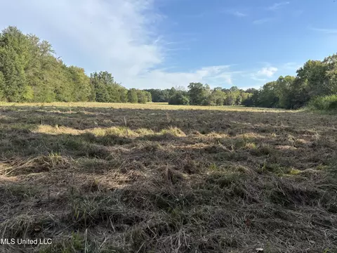 254 Renfroe Rd, Canton, MS 39046 photo 15