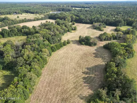 254 Renfroe Rd, Canton, MS 39046 photo 9