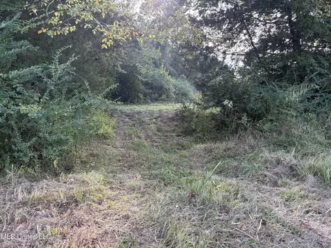 254 Renfroe Rd, Canton, MS 39046 photo 19