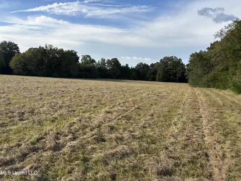 254 Renfroe Rd, Canton, MS 39046 photo 16