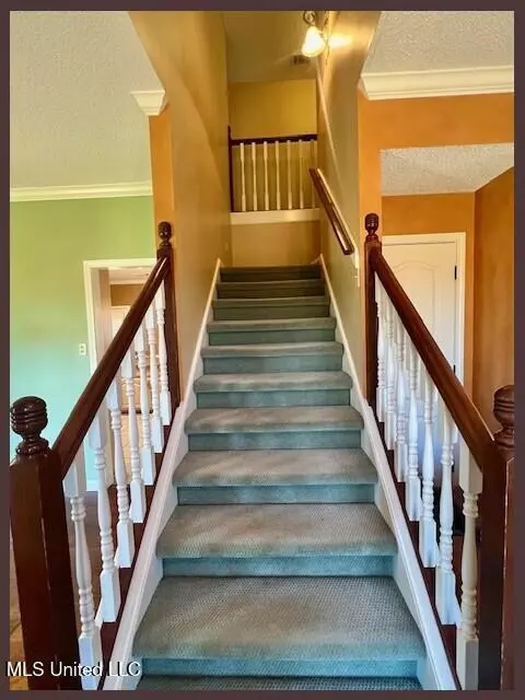 Entry Way - 4790 Conner Dr, Hernando, MS 38632 photo 3 of 3