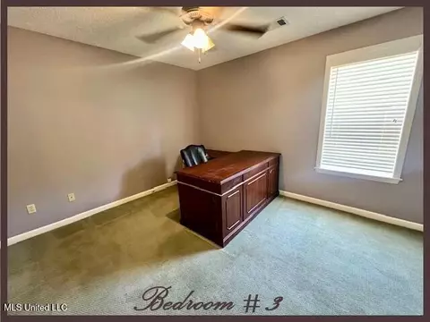 Other - 4790 Conner Dr, Hernando, MS 38632 photo 9 of 16