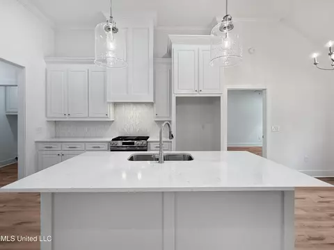 223 New Haven Ln, Brandon, MS 39042 photo 10