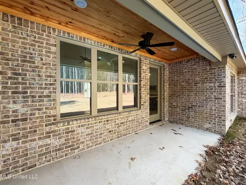 225 New Haven Ln, Brandon, MS 39042 photo 35