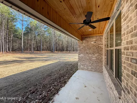225 New Haven Ln, Brandon, MS 39042 photo 34
