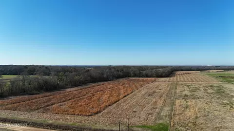 940 Endris Rd, Canton, MS 39046 photo 3