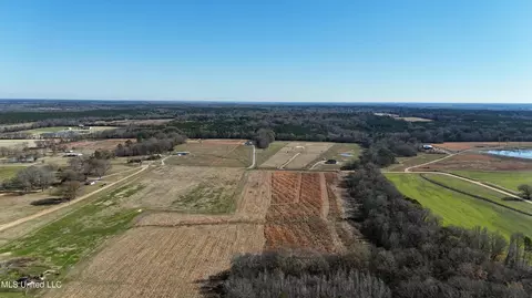 940 Endris Rd, Canton, MS 39046 photo 11