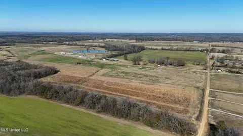940 Endris Rd, Canton, MS 39046 photo 6