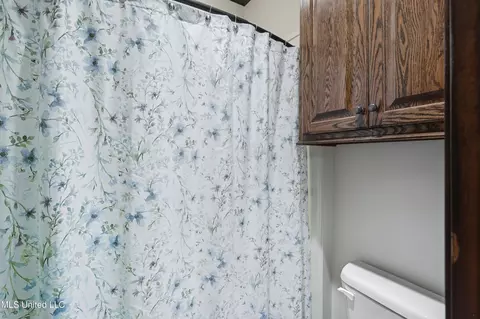 Bath - 130 Deer Ridge Rd, Brandon, MS 39042 photo 5 of 6