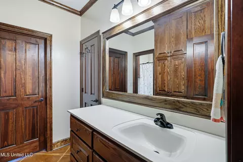 Bath - 130 Deer Ridge Rd, Brandon, MS 39042 photo 4 of 6