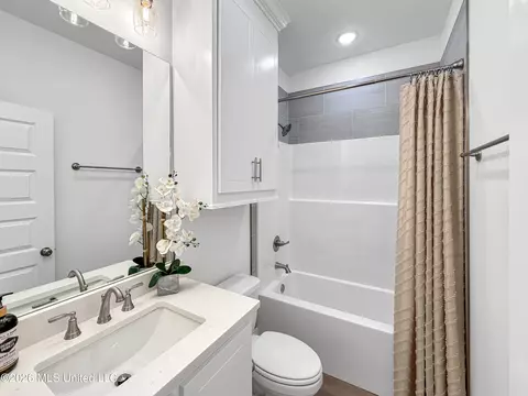 Bath - 217 New Haven Ln, Brandon, MS 39042 photo 1 of 1