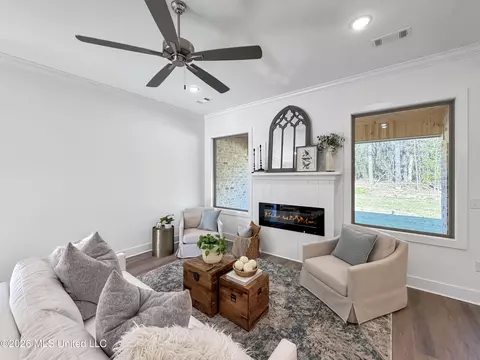 Living - 217 New Haven Ln, Brandon, MS 39042 photo 1 of 3