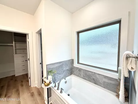 Bath - 219 New Haven Ln, Brandon, MS 39042 photo 1 of 6