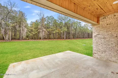 Exterior - 219 New Haven Ln, Brandon, MS 39042 photo 3 of 6