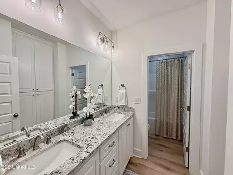 Bath - 219 New Haven Ln, Brandon, MS 39042 photo 5 of 6