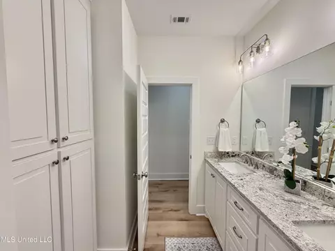 Bath - 219 New Haven Ln, Brandon, MS 39042 photo 6 of 6