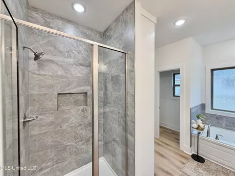 Bath - 219 New Haven Ln, Brandon, MS 39042 photo 3 of 6