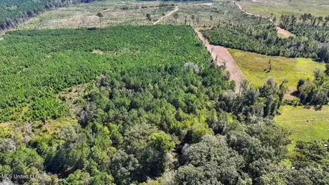 5 00 Noblin Bridge Rd, Pelahatchie, MS 39145