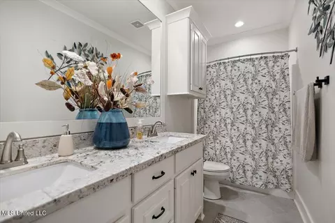 Bath - 115 Hampstead Dr, Madison, MS 39110 photo 3 of 3