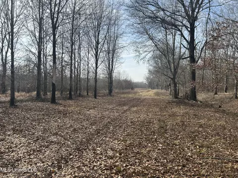 Hwy 278, Marks, MS 38646 photo 20