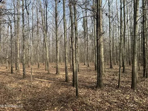 Hwy 278, Marks, MS 38646 photo 36