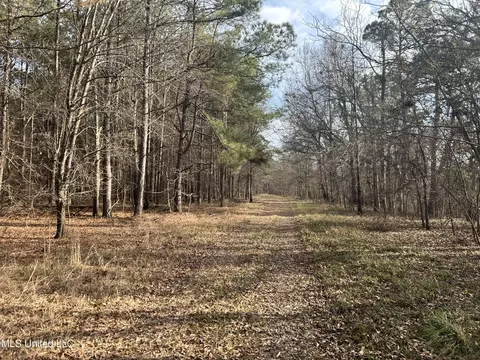 Hwy 278, Marks, MS 38646 photo 4