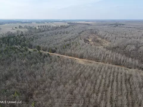 Hwy 278, Marks, MS 38646 photo 10