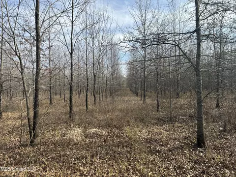 Hwy 278, Marks, MS 38646 photo 32