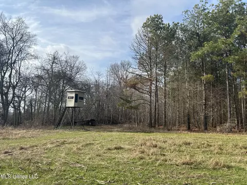 Hwy 278, Marks, MS 38646 photo 3