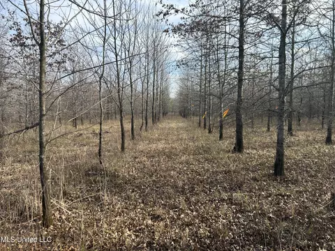 Hwy 278, Marks, MS 38646 photo 30