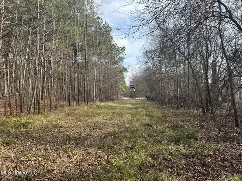Hwy 278, Marks, MS 38646 photo 2