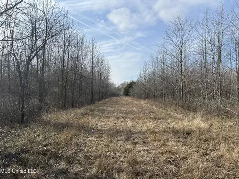 Hwy 278, Marks, MS 38646 photo 34