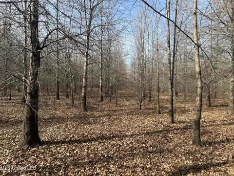 Hwy 278, Marks, MS 38646 photo 5
