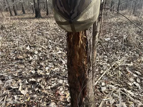 Hwy 278, Marks, MS 38646 photo 21